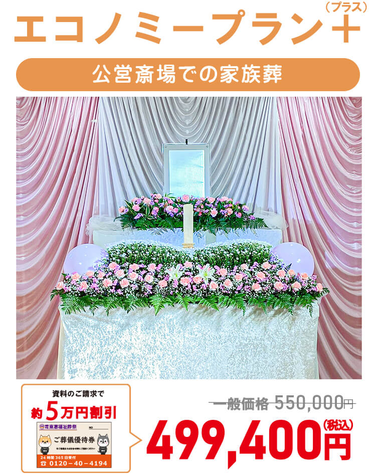 エコノミープラン+550,000円
